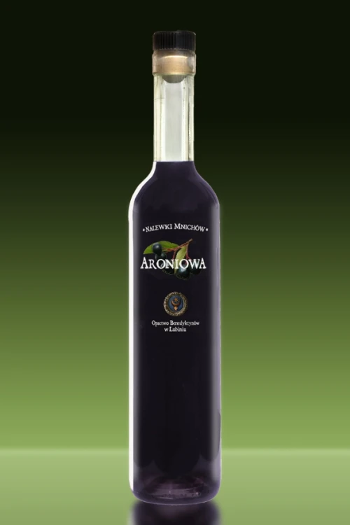 _V500_aronia1 kopia.webp