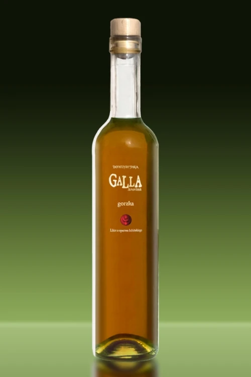 _V500_Galla1 kopia.webp