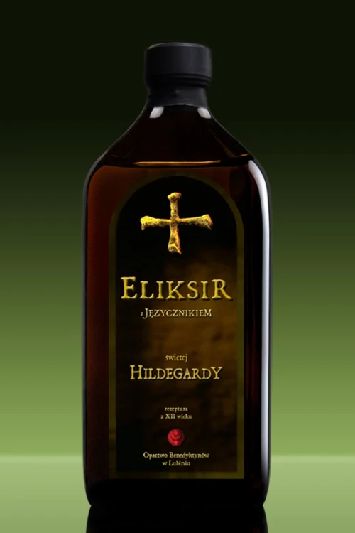 _500 Hild_jezycznik.webp