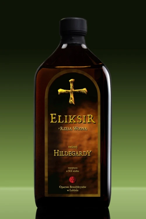 _500 Hild_rzesa.webp