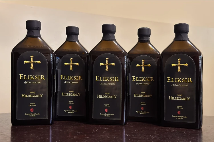 _500 Hild_jez_grupa.webp