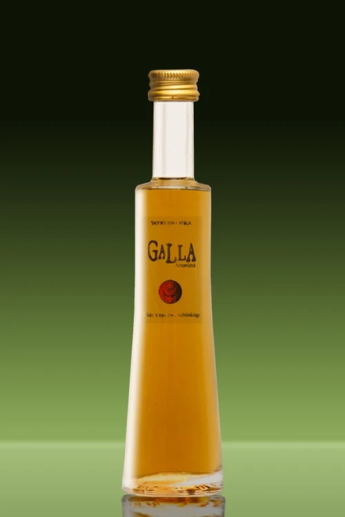 _50_40_benZ kopia.webp