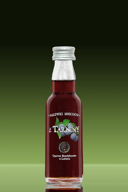 _40_tarnina_B kopia.webp