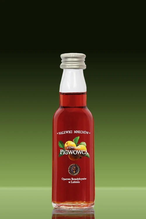 _40_pigwowiec_B kopia.webp