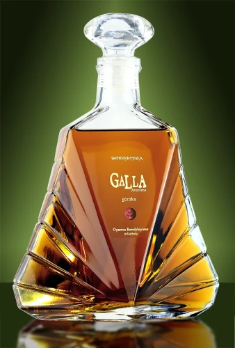 _Galla_700 kopia.webp